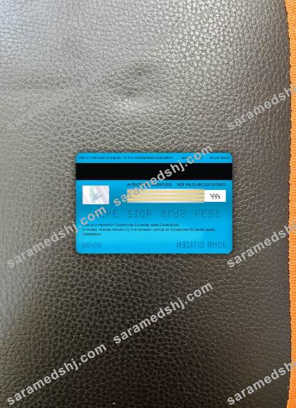 Cameroon Ecobank bank visa debit card photolook back